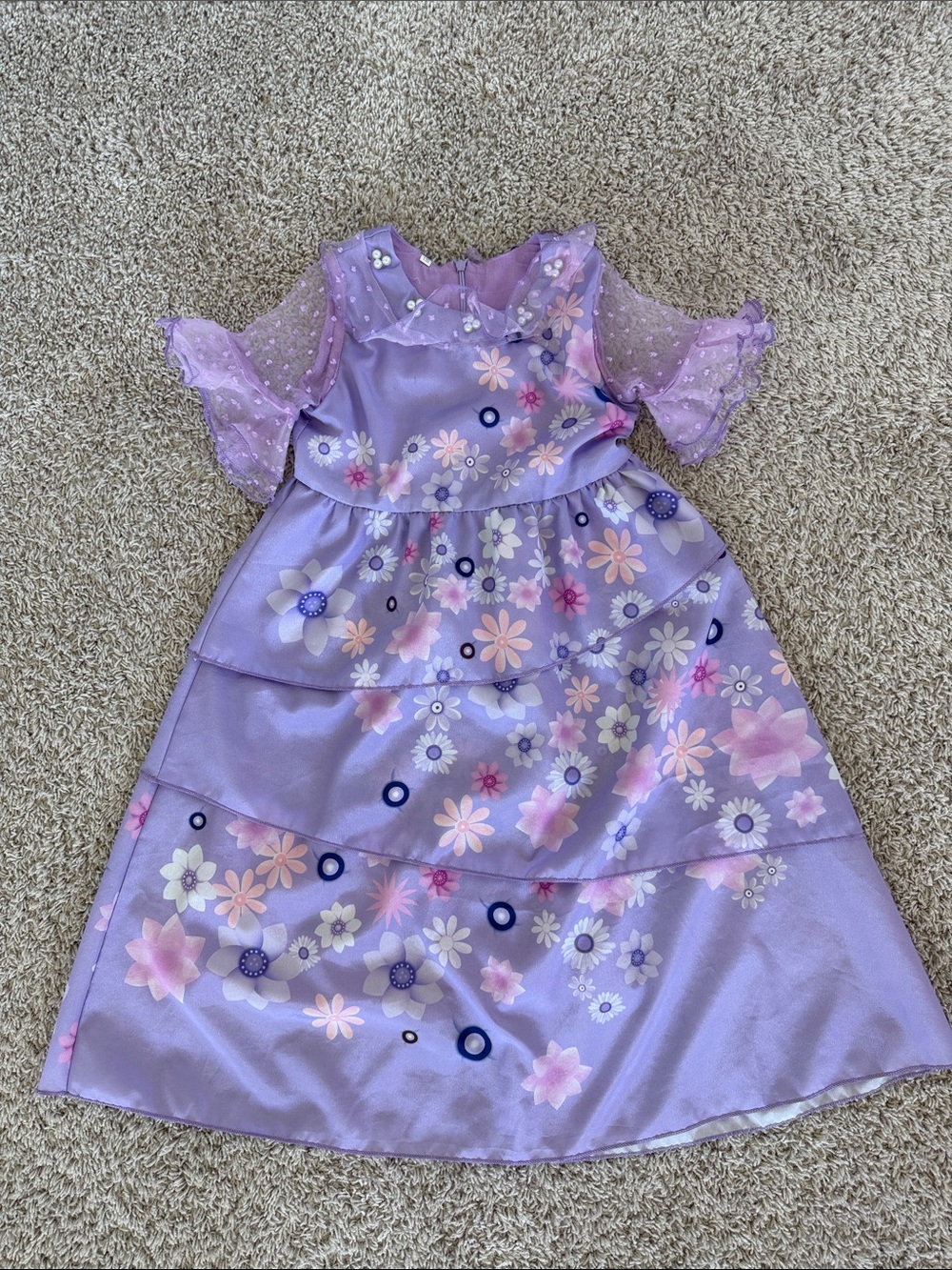 Encanto Isabela Inspired Costume Dress